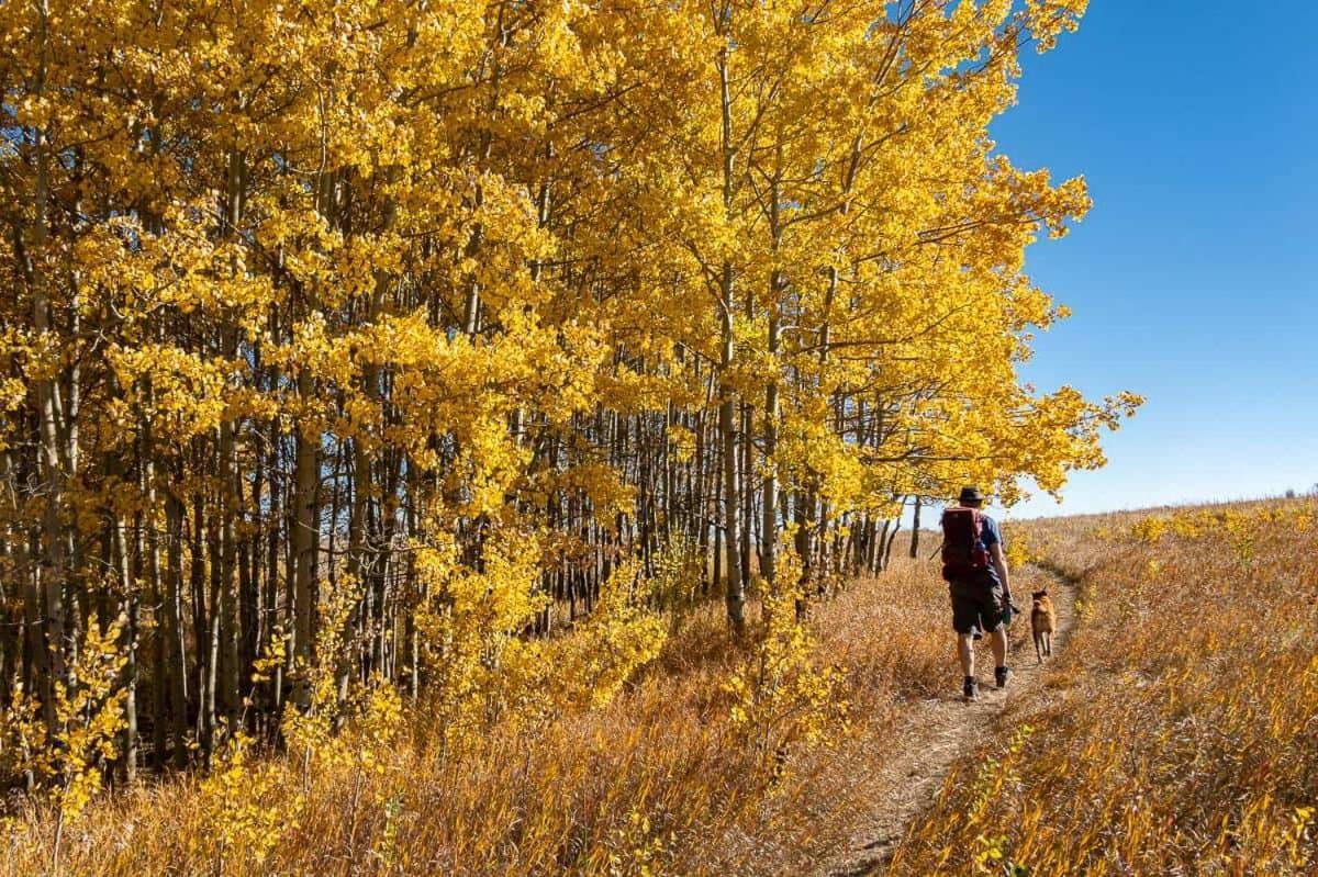 Hébergement de vacances New! Large Family 4br W Kid's Play Den - Free Banff Pass, Netflix, Wine & More! Calgary